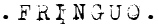 Fringuo